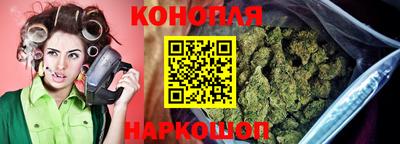 прущие грибы Тула