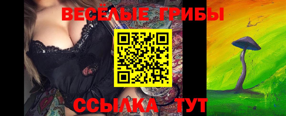 Псилоцибиновые грибы Cubensis  Вход с VPN  Сегежа  Галлюциногенные грибы прущие грибы 